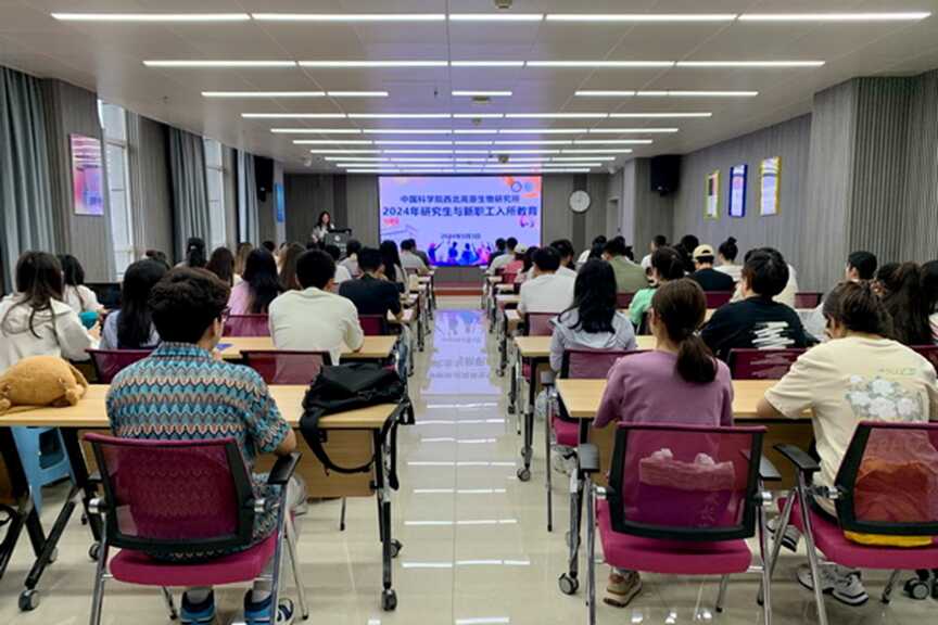 香港内部信封料一码