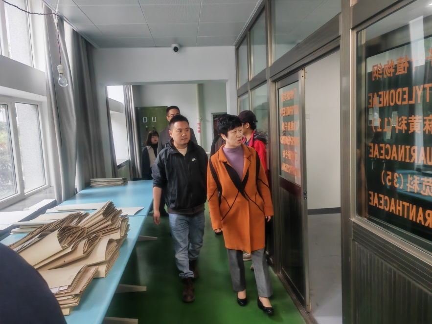 香港内部信封料一码