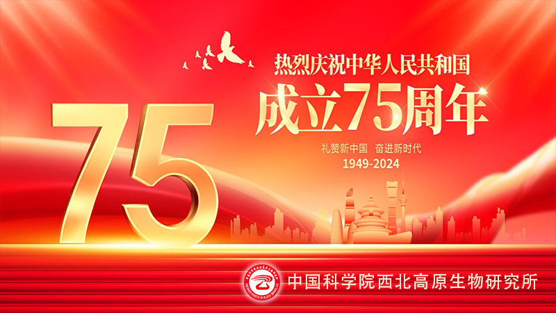 香港内部信封料一码