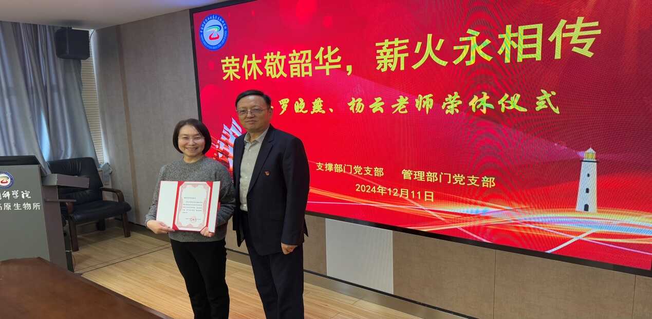 香港内部信封料一码