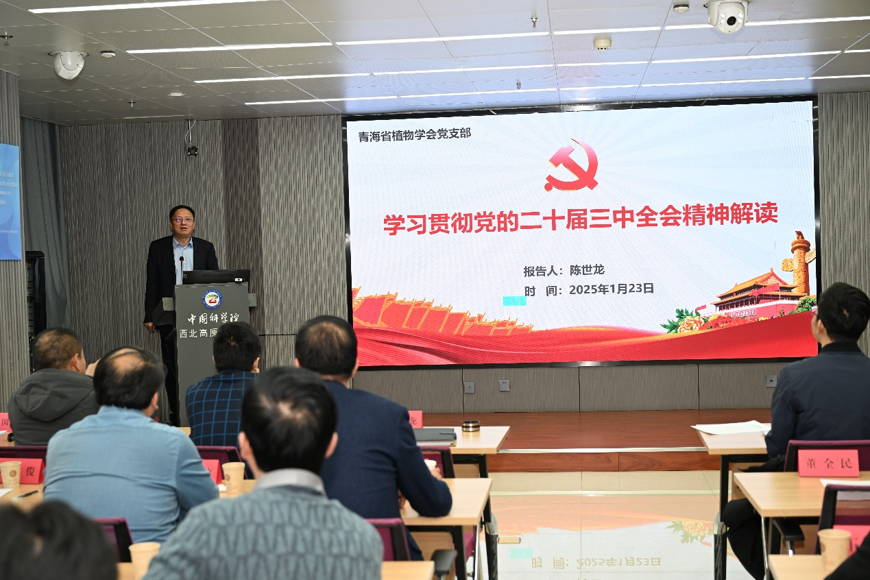 香港内部信封料一码