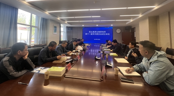 香港内部信封料一码