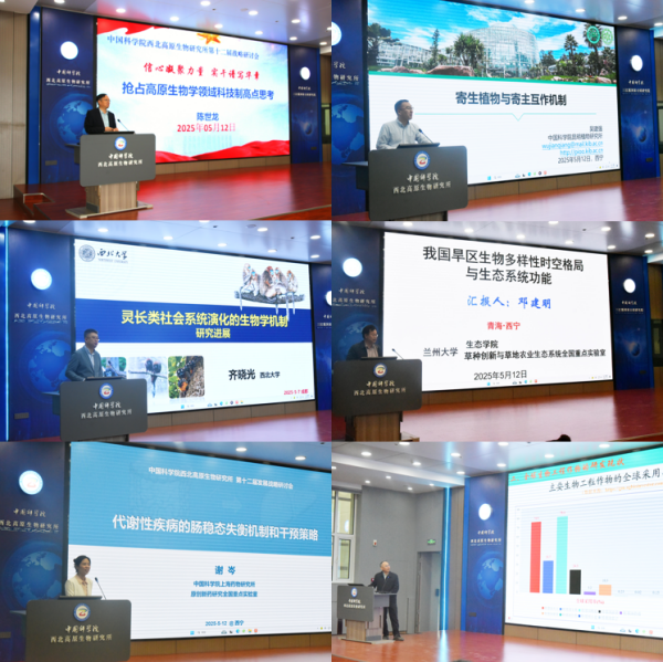 香港内部信封料一码