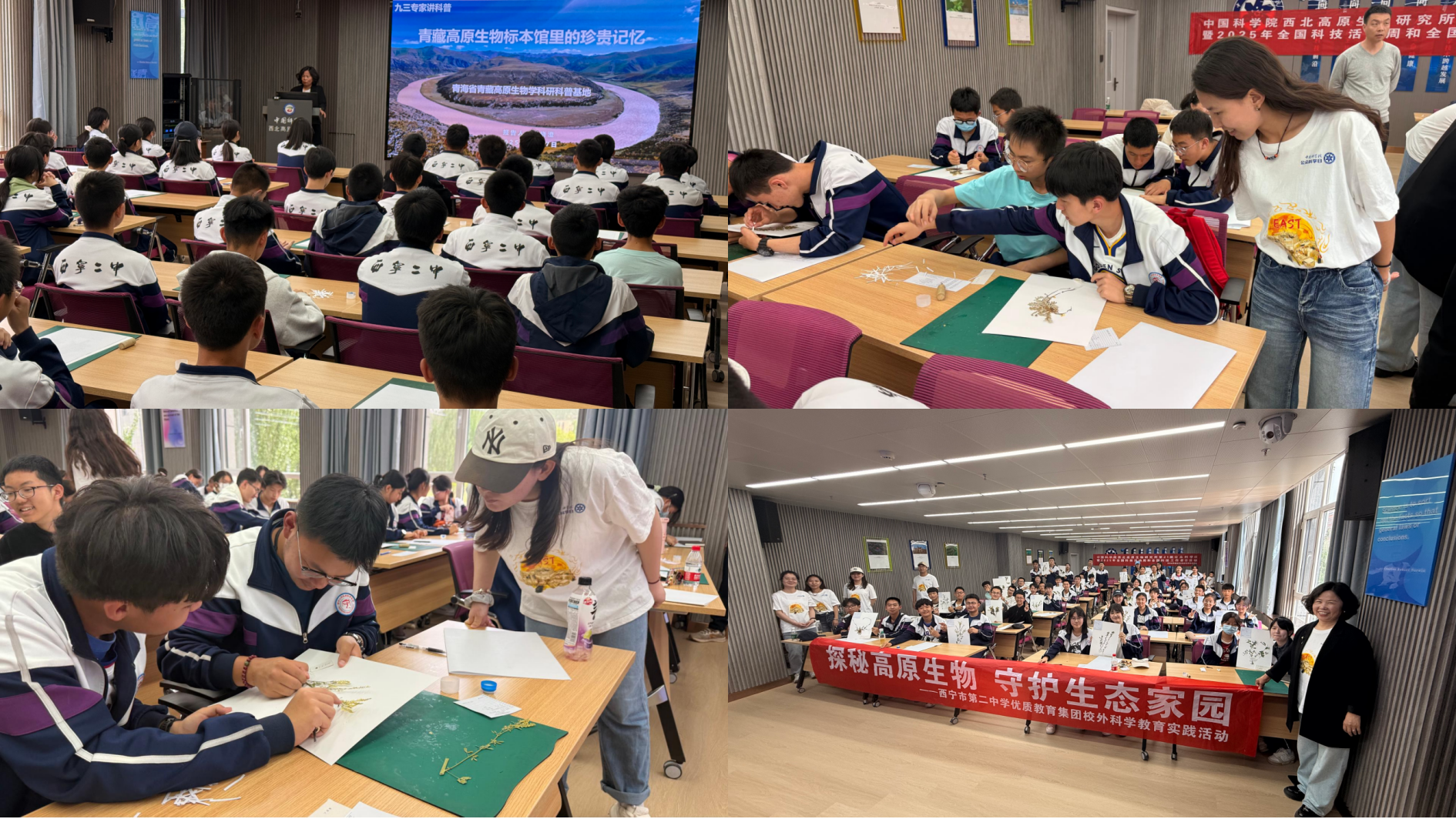 香港内部信封料一码