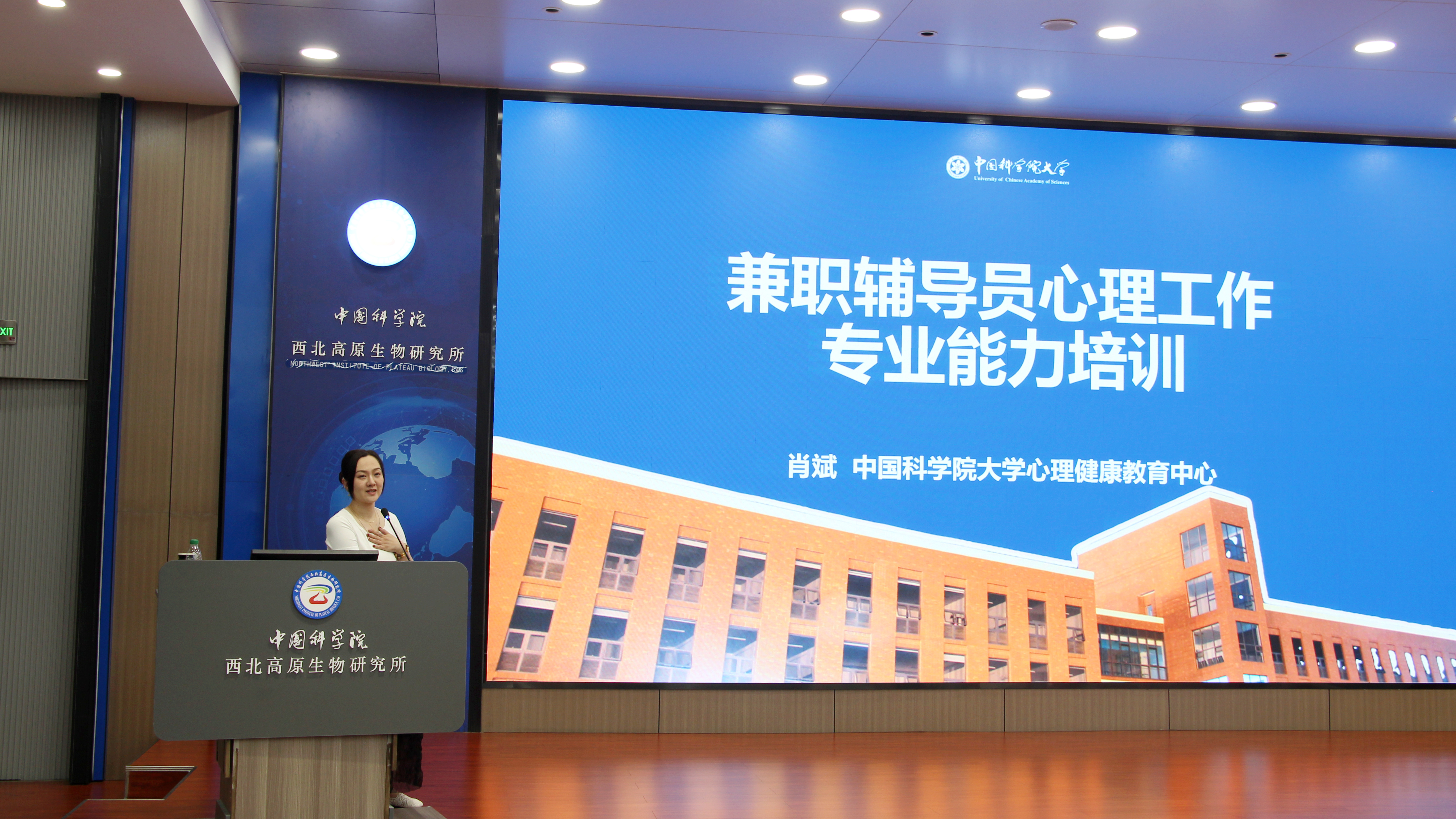 香港内部信封料一码