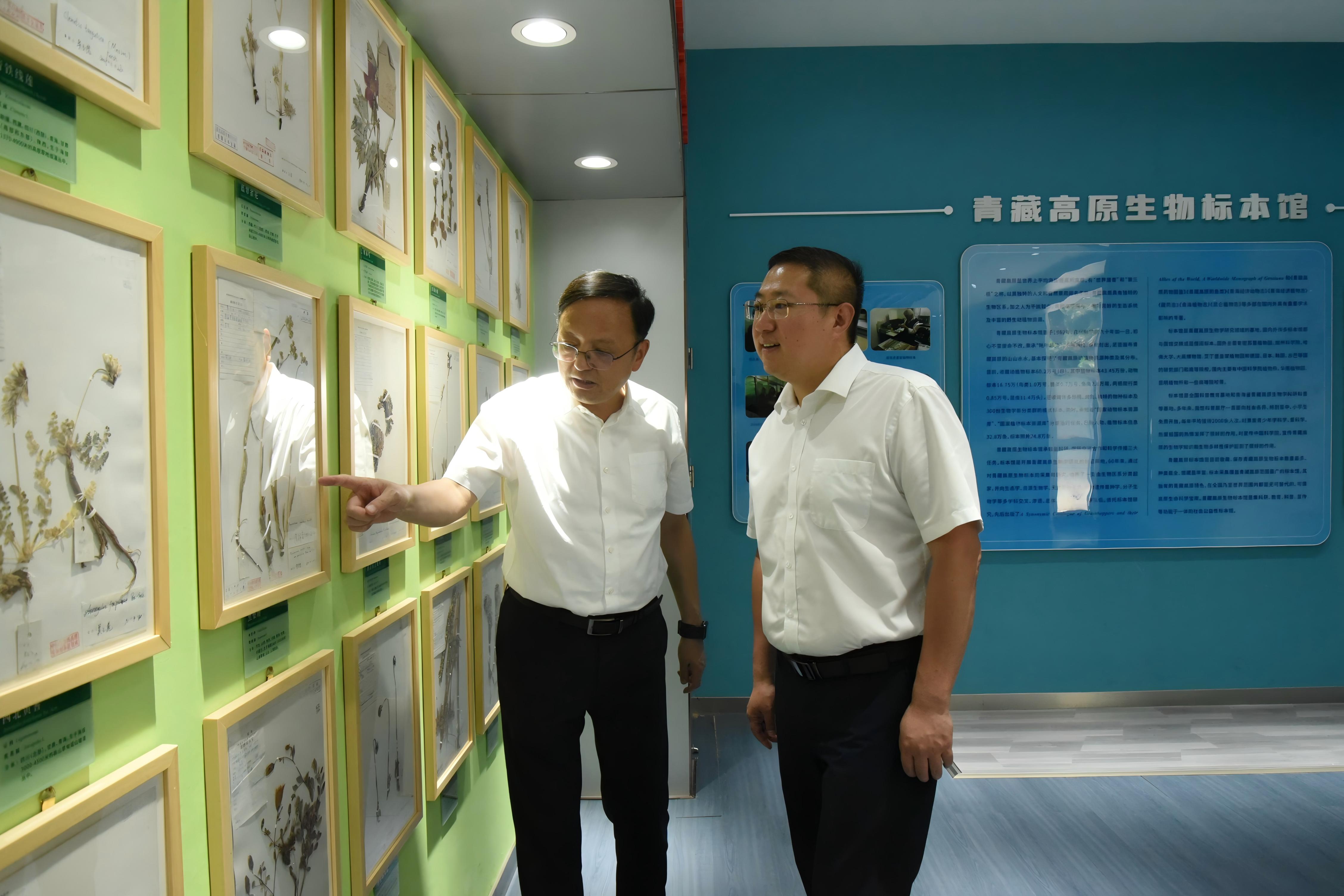 香港内部信封料一码