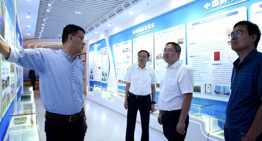 香港内部信封料一码