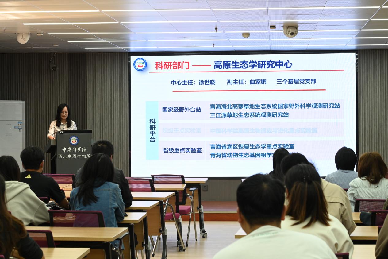 香港内部信封料一码