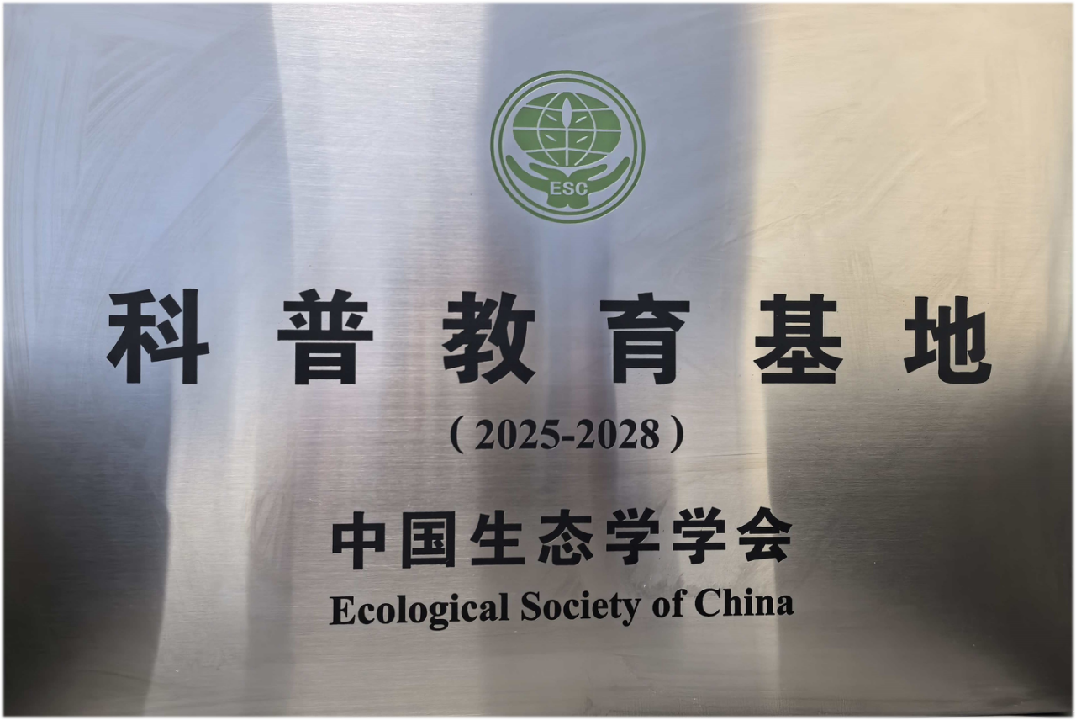 香港内部信封料一码
