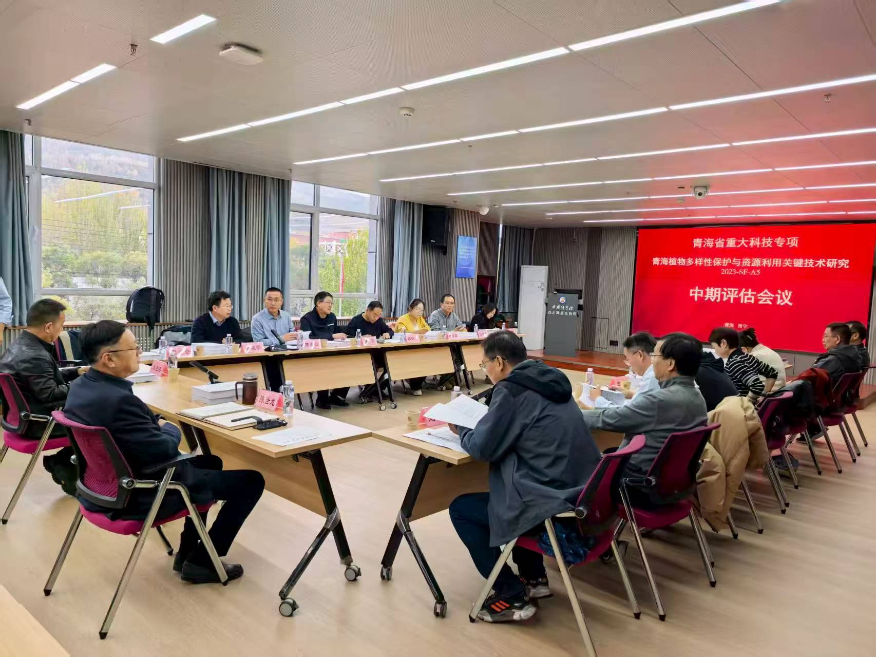 香港内部信封料一码