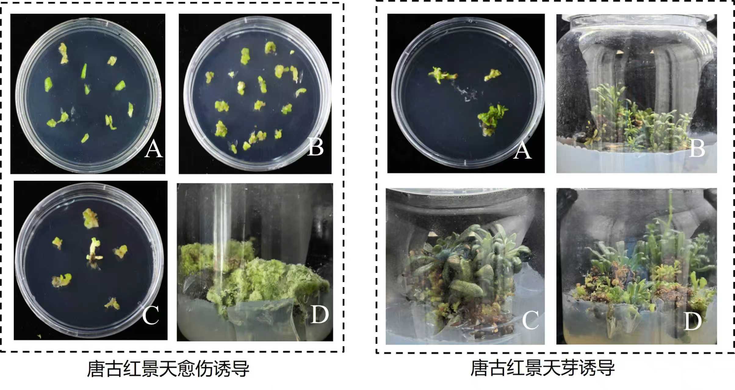 香港内部信封料一码
