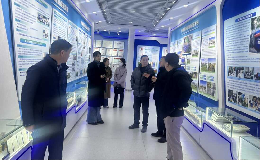 香港内部信封料一码