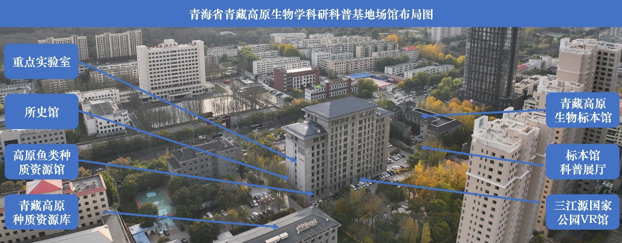 香港内部信封料一码