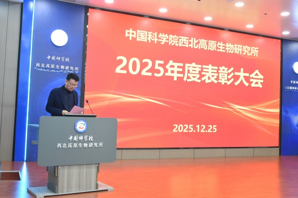 香港内部信封料一码