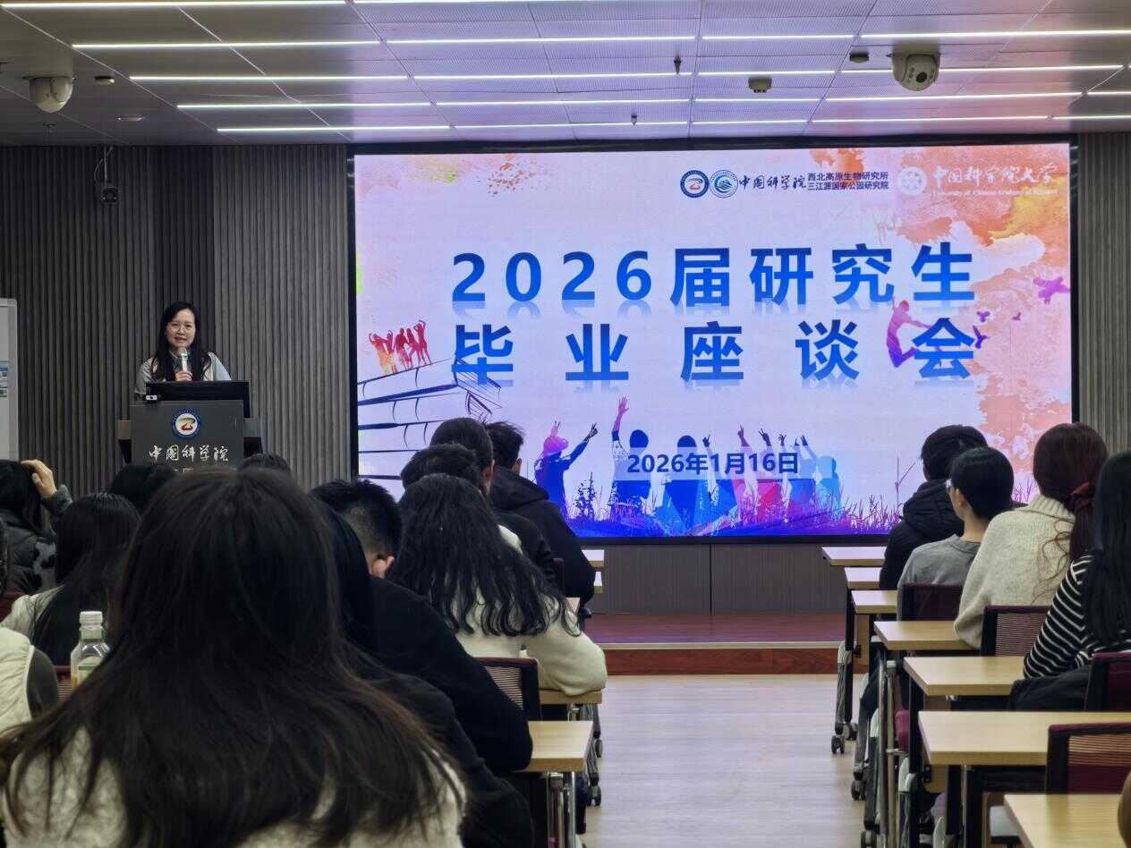 香港内部信封料一码