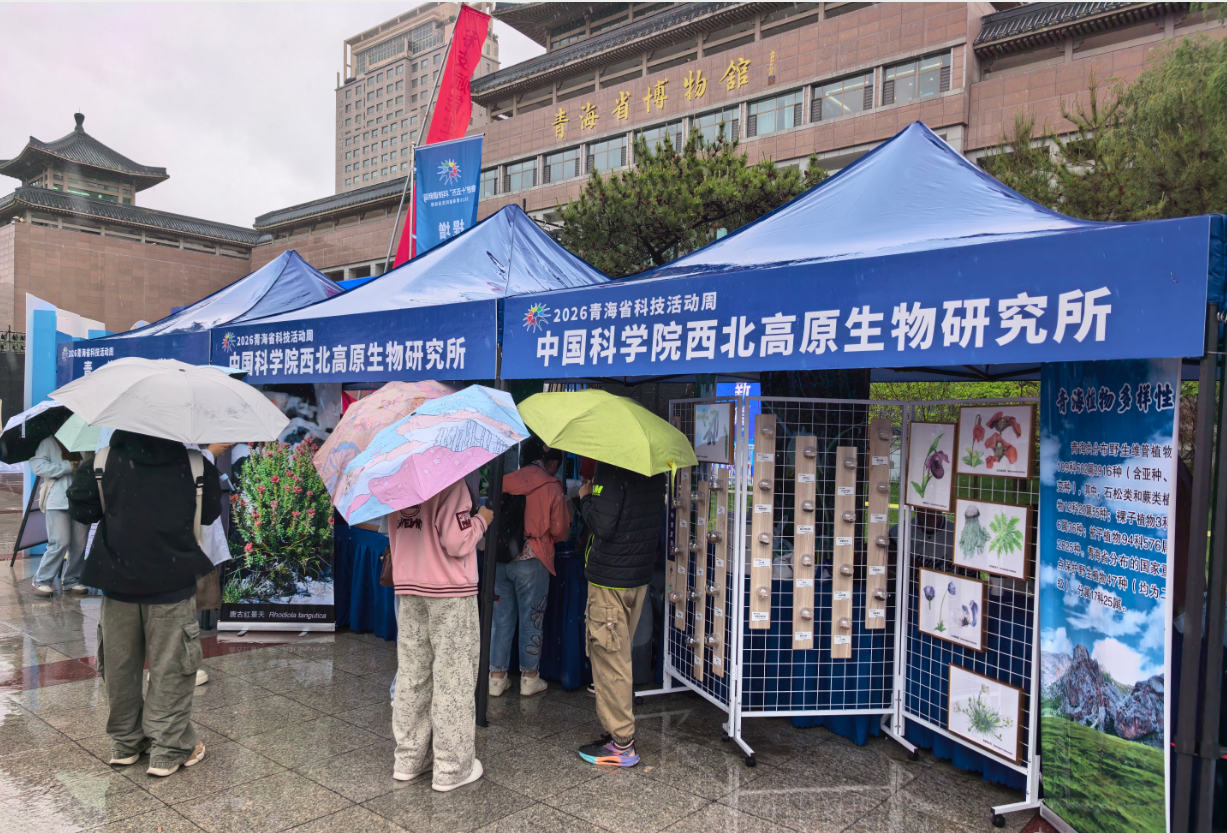 香港内部信封料一码