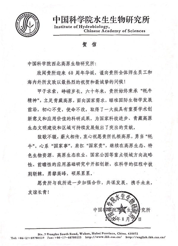 香港内部信封料一码