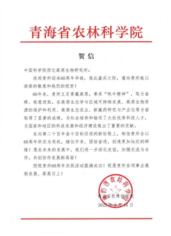 香港内部信封料一码