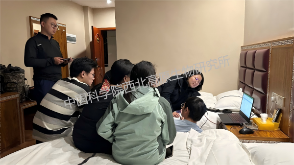香港内部信封料一码